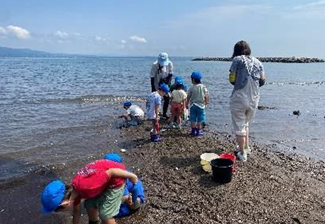 海辺の観察会の写真