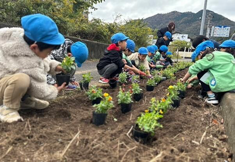 花いっぱい運動の写真