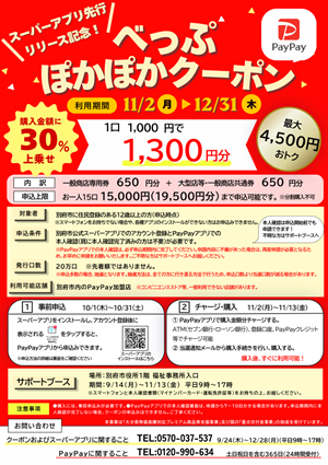 PDFの画像