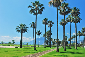 上人ヶ浜の写真