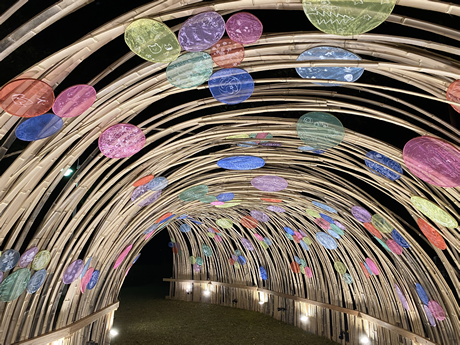 バンブーランタンの写真1