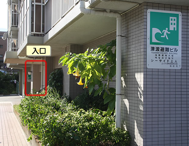 シーサイド上人の入口(建物南側)