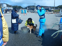 ���������̎ʐ^11