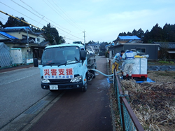 ���������̎ʐ^19