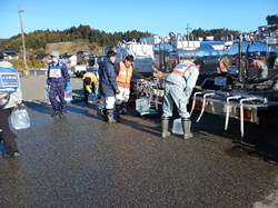 ���������̎ʐ^2