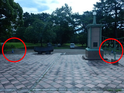 �ʕ{�����������̎ʐ^