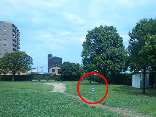 ��Ί_�����������̎ʐ^