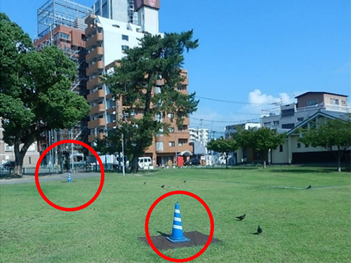 �C�厛�����������̎ʐ^