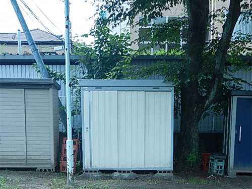 �T��l�c�����������i�q�ɂ̎ʐ^