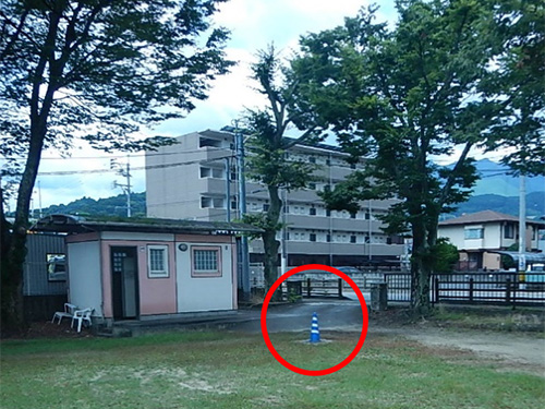 �T��l�c���������������̎ʐ^