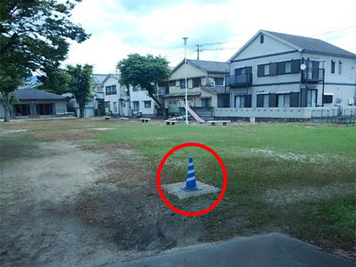 �T��l�c���������������̎ʐ^