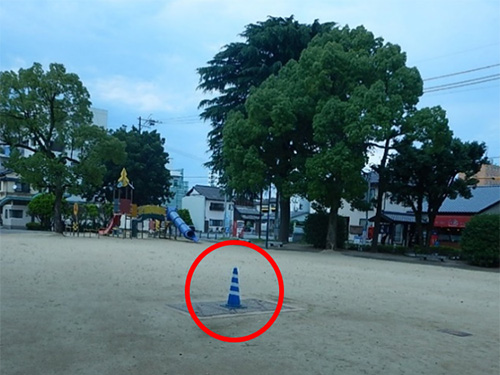 ���������������̎ʐ^