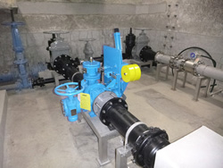 �ً}�Ւf�ق̉摜