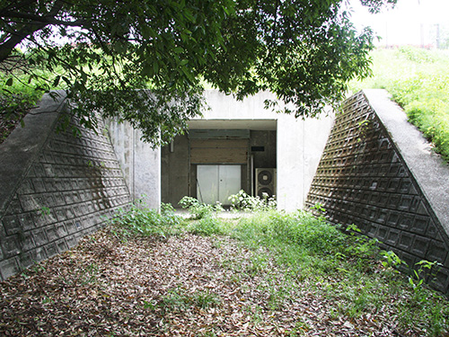 ���������z���r�̎ʐ^