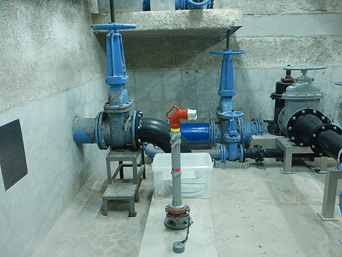 ���������z���r�������̎ʐ^