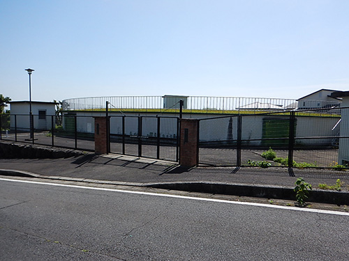 �e�m�ؔz���r�̎ʐ^