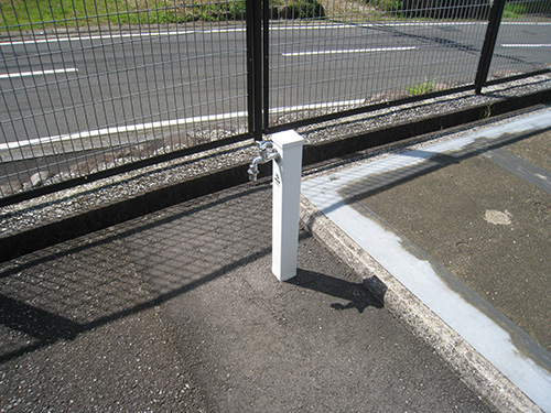 �e�m�ؔz���r�������̎ʐ^