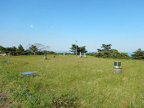 ��R�z���r�̎ʐ^