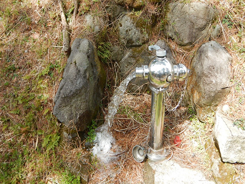 ��R�򐅏ꋋ�����̎ʐ^