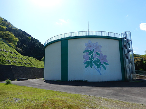 �V���Ԕz���r�̎ʐ^