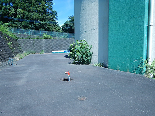 �V���Ԕz���r�������̎ʐ^