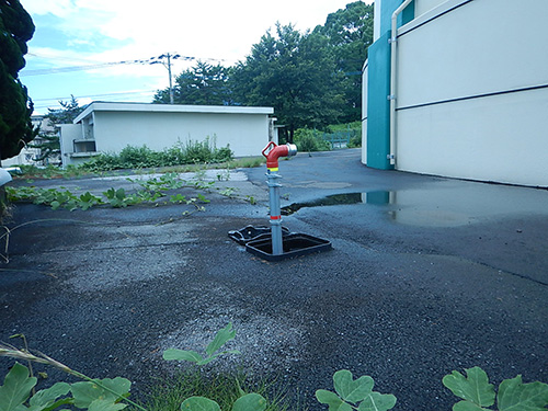 �����z���r�������̎ʐ^